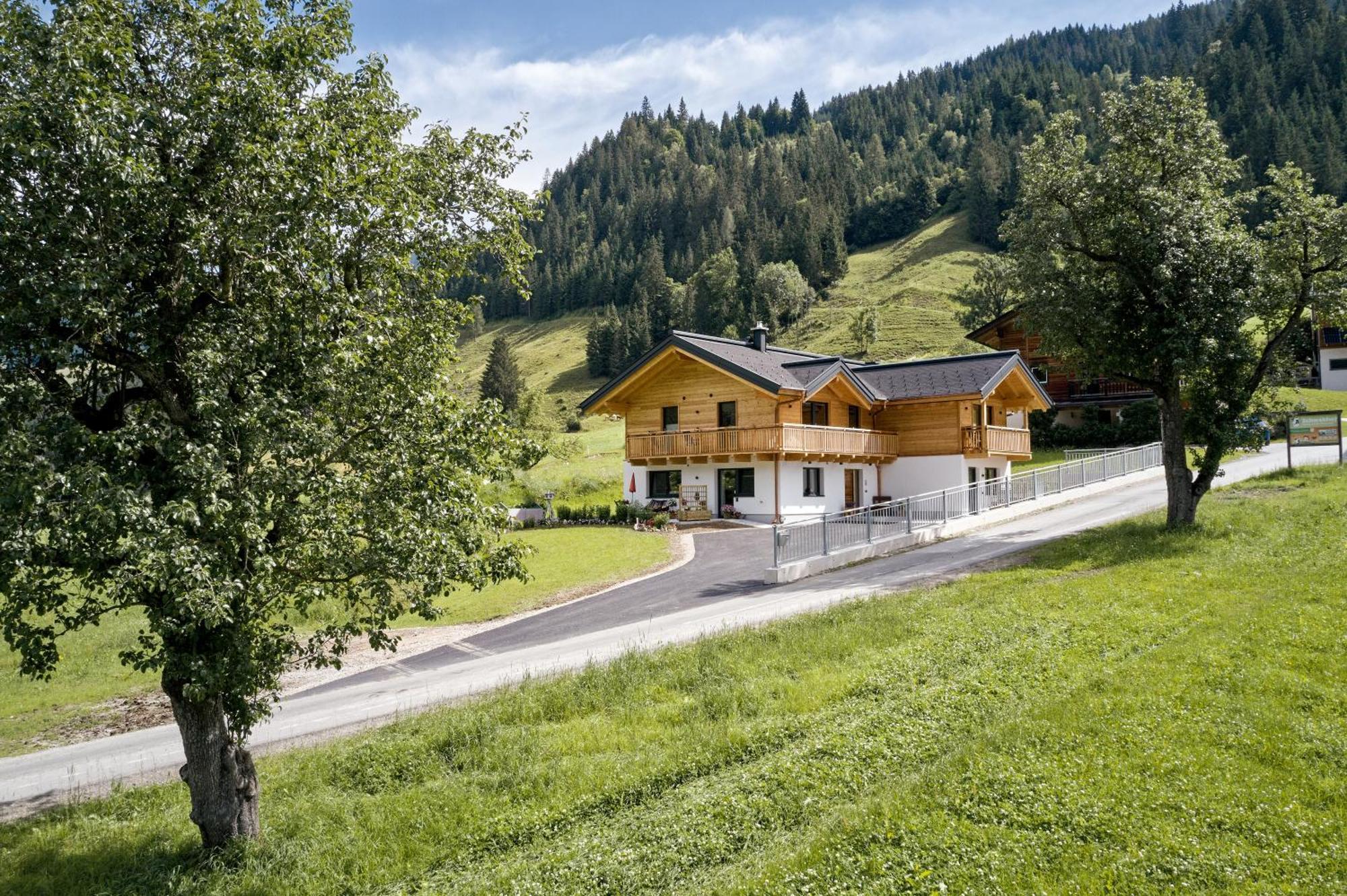 Ferienwohnungen Schwabhof Kleinarl Kültér fotó